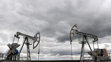 Фото - ET: в Индии считают, что для ограничения цены нефти из РФ нужен консенсус