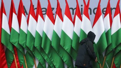 Фото - Глава МИД Венгрии: страна продолжит выдавать шенгенские визы россиянам