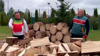 Фото - Лукашенко пообещал помочь Европе дровами зимой