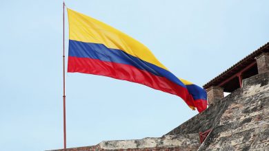 Фото - Посол Нейра заявил, что Россия и Колумбия добились прогресса по сотрудничеству в технологиях