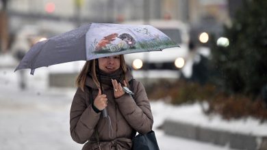 Фото - В Москве в среду, 23 ноября, ожидается мокрый снег с дождем и 0°C